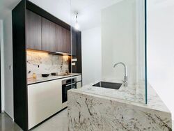 Tembusu Grand (D15), Condominium #521607281